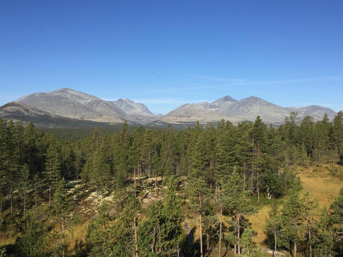 Вілла Rondane Sollia Friluftsliv Ovre Nordli Екстер'єр фото