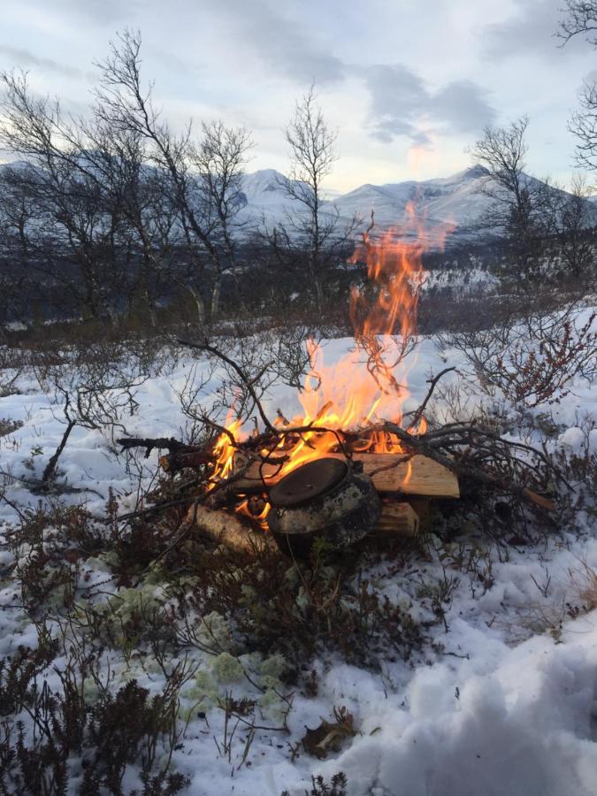 Вілла Rondane Sollia Friluftsliv Ovre Nordli Екстер'єр фото