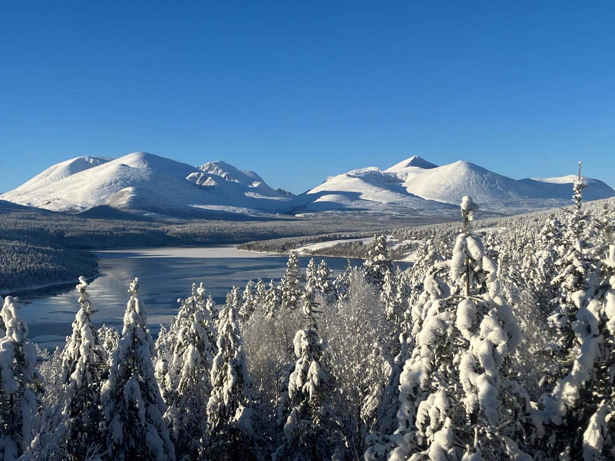 Вілла Rondane Sollia Friluftsliv Ovre Nordli Екстер'єр фото